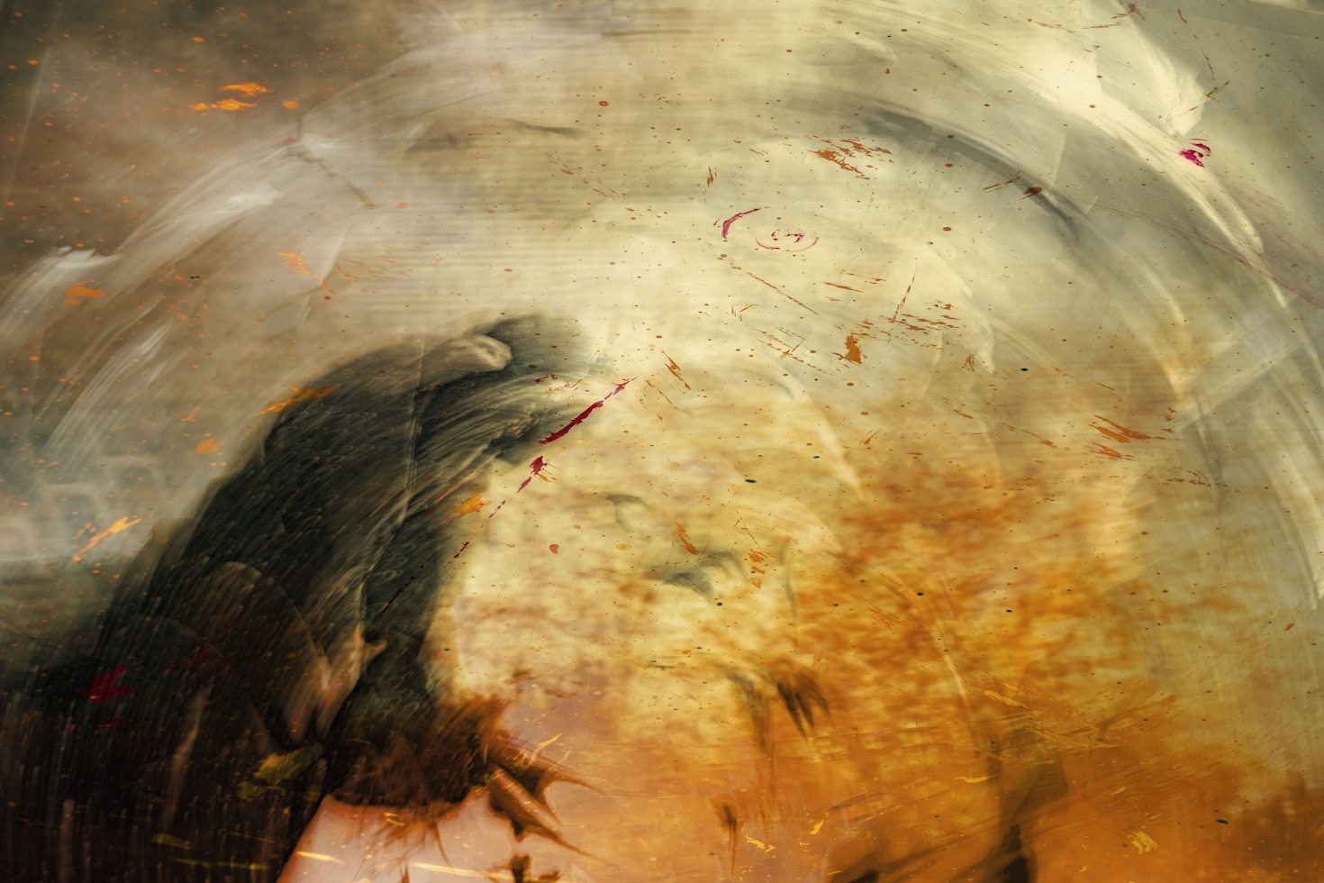 The complicated and exciting Journey of  Seven Crows